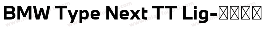 BMW Type Next TT Lig字体转换